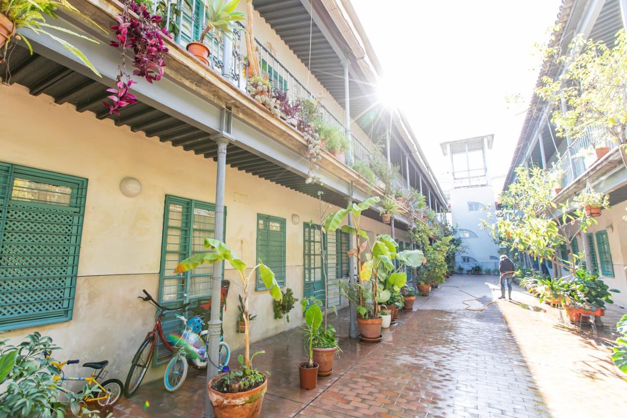 Apartamento 3 Dormitorios En Calle San Vicente. Seville Exterior photo
